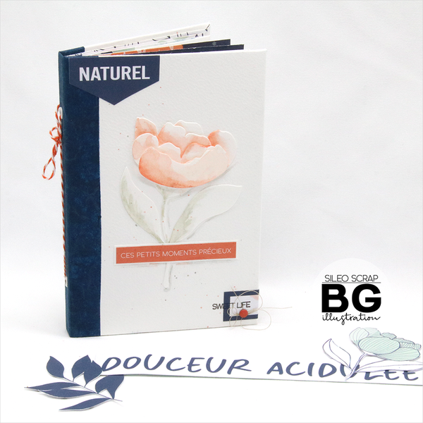 Fichiers pour machine de découpe - Douceur acidulée