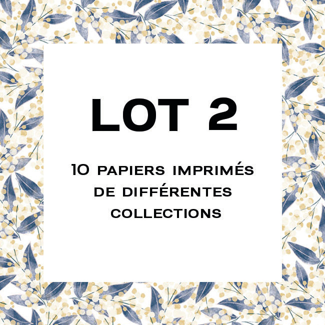 Lot 2 - Mix de 10 papiers